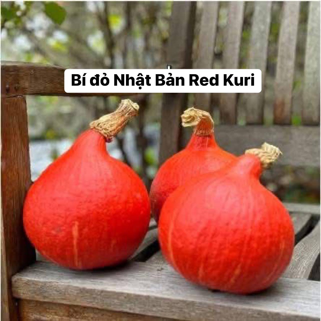 Bộ sưu tập các loại hạt giống độc lạ - Ảnh 3
