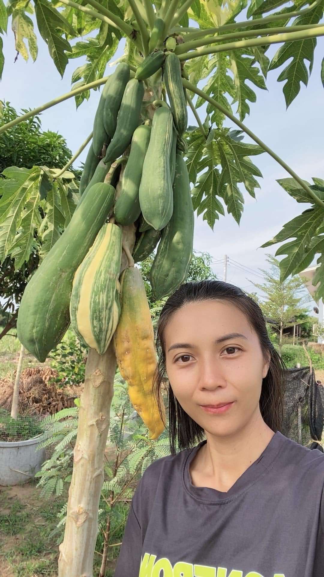 Bộ sưu tập các loại hạt giống độc lạ - Ảnh 6