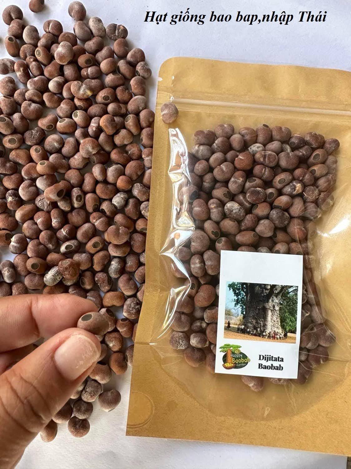Bộ sưu tập các loại hạt giống độc lạ - Ảnh 2