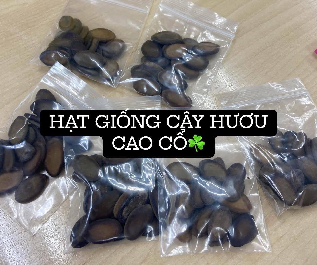 Bộ sưu tập các loại hạt giống độc lạ - Ảnh 5