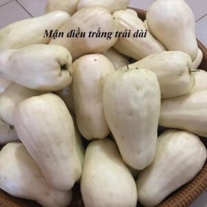 Bộ sưu tập các giống Mận
