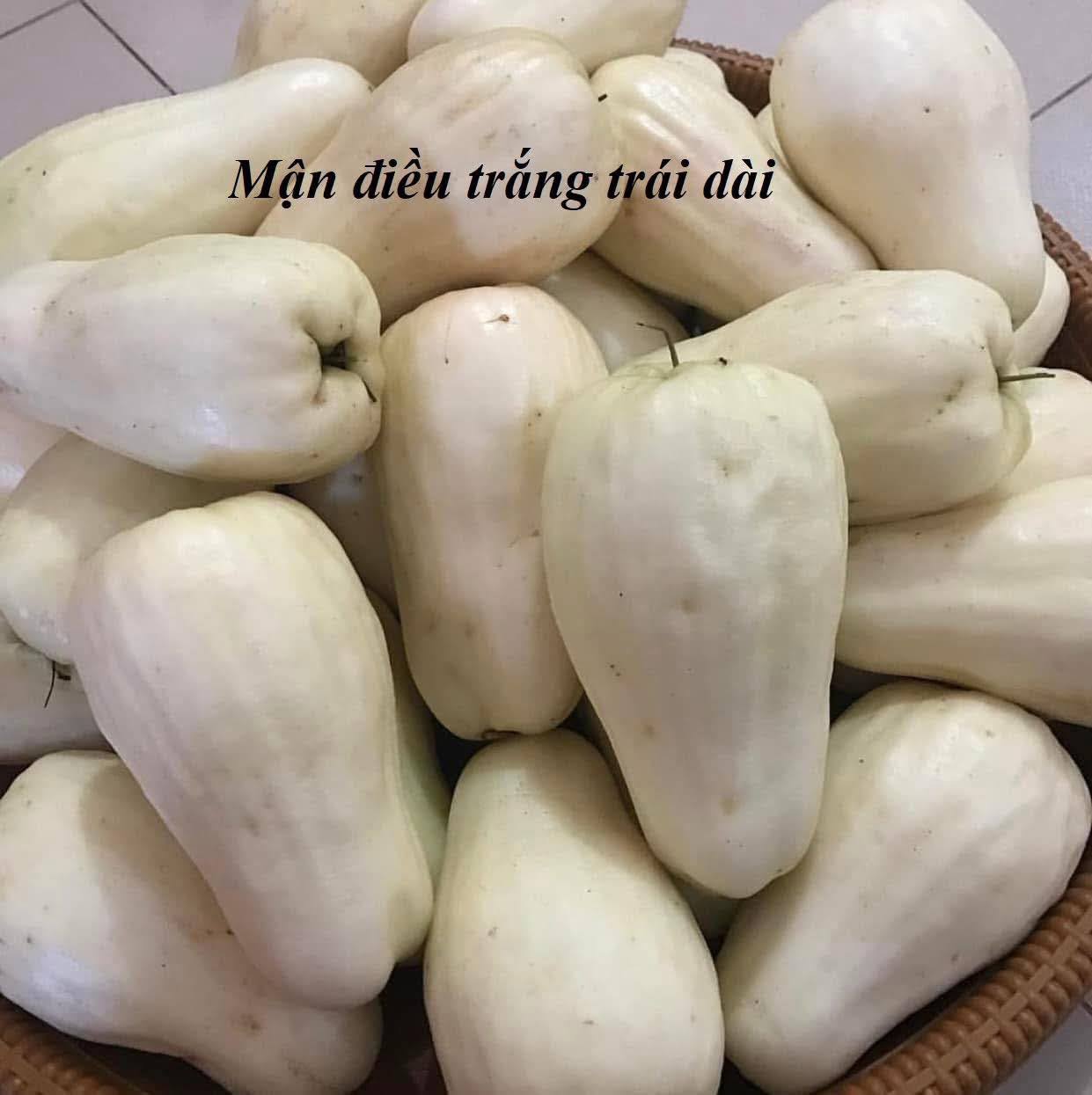 Bộ sưu tập các giống Mận
