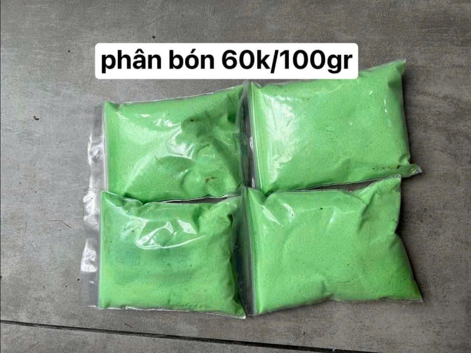 Bộ Sưu tập Tóc tiên chùm - Ảnh 9