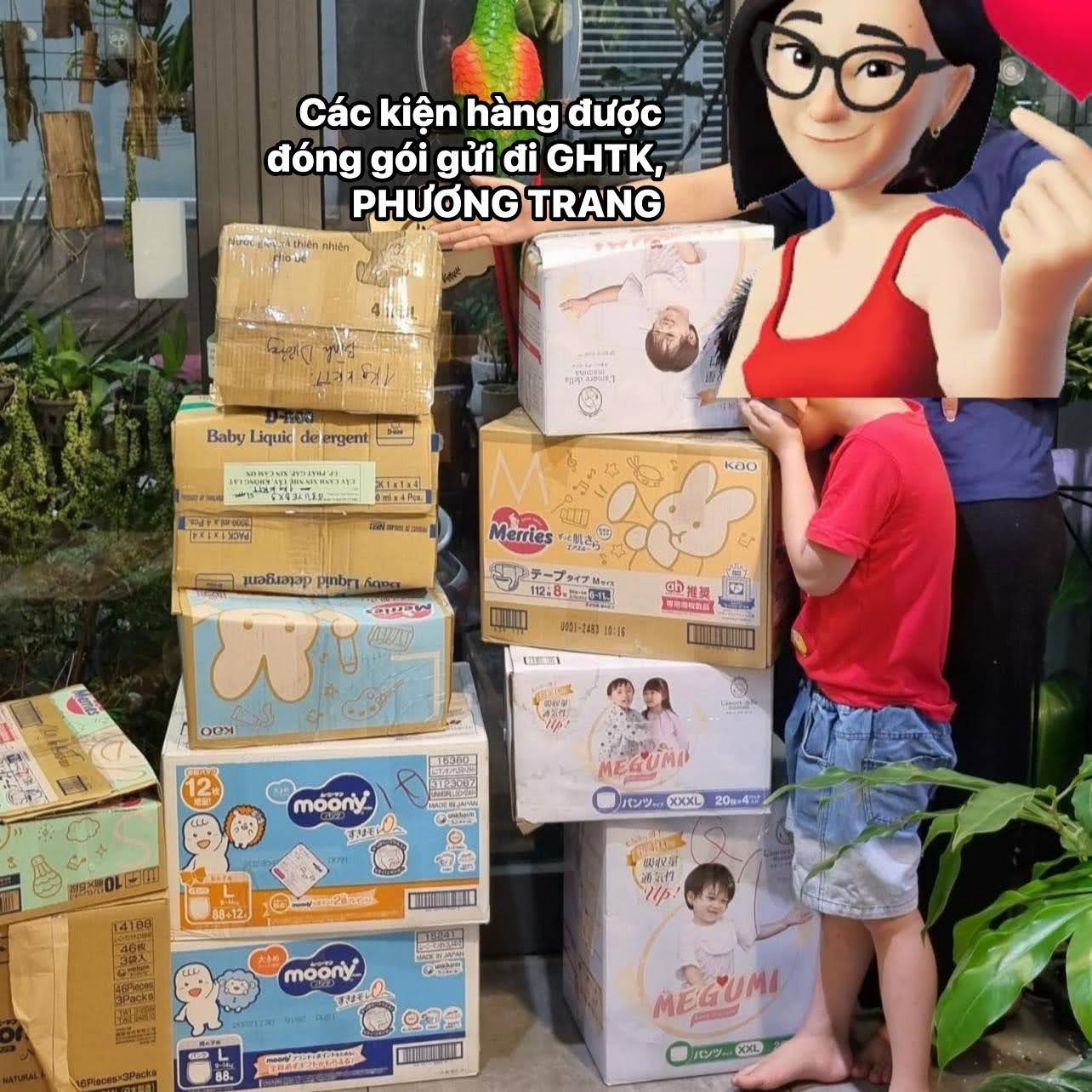Bộ Sưu tập Tóc tiên chùm - Ảnh 3