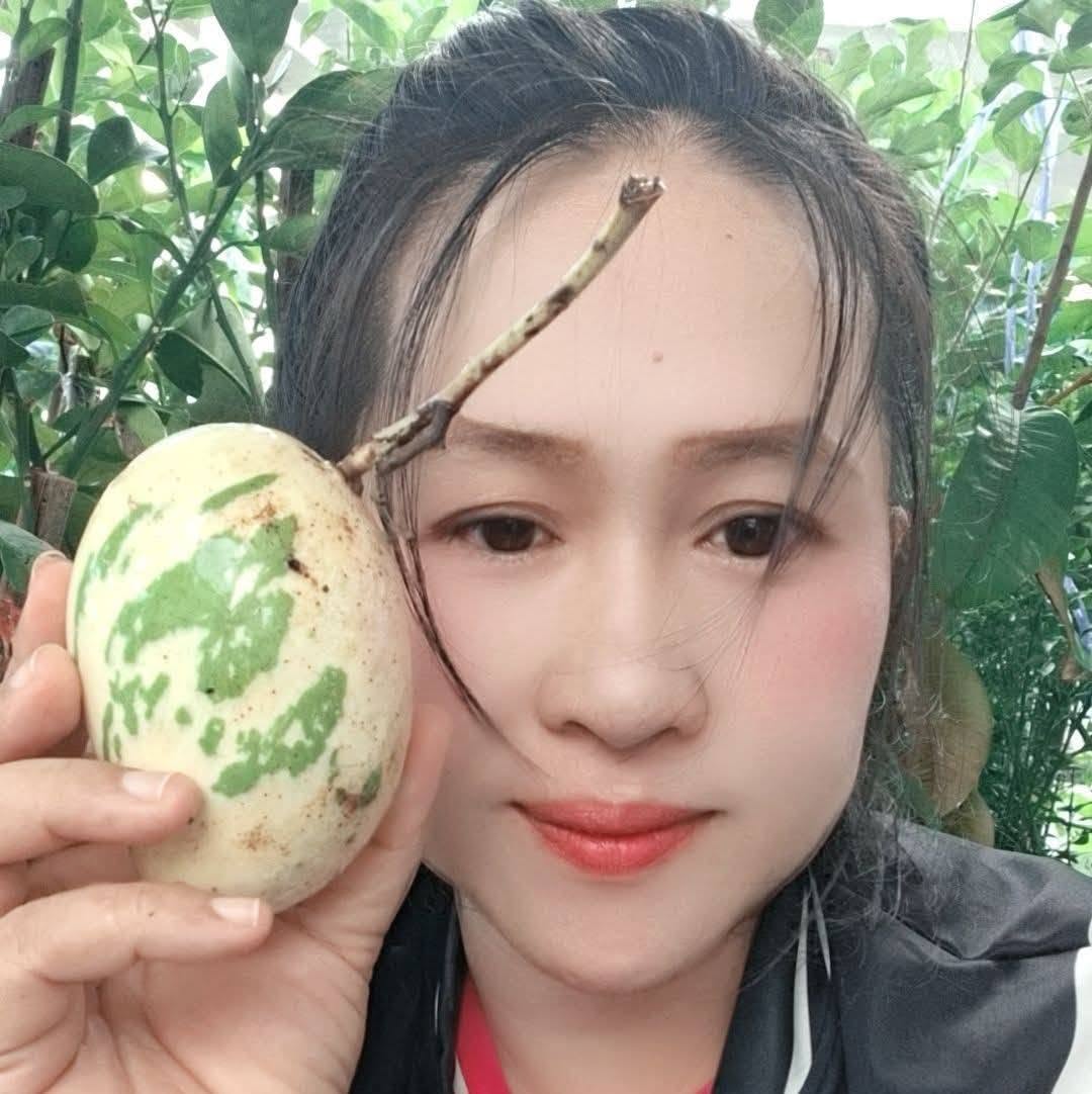 Bộ sưu tập các giống xoài - Ảnh 3