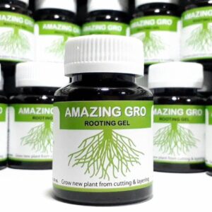 Thuốc kích rễ Thái Lan-AMAZINGGRO